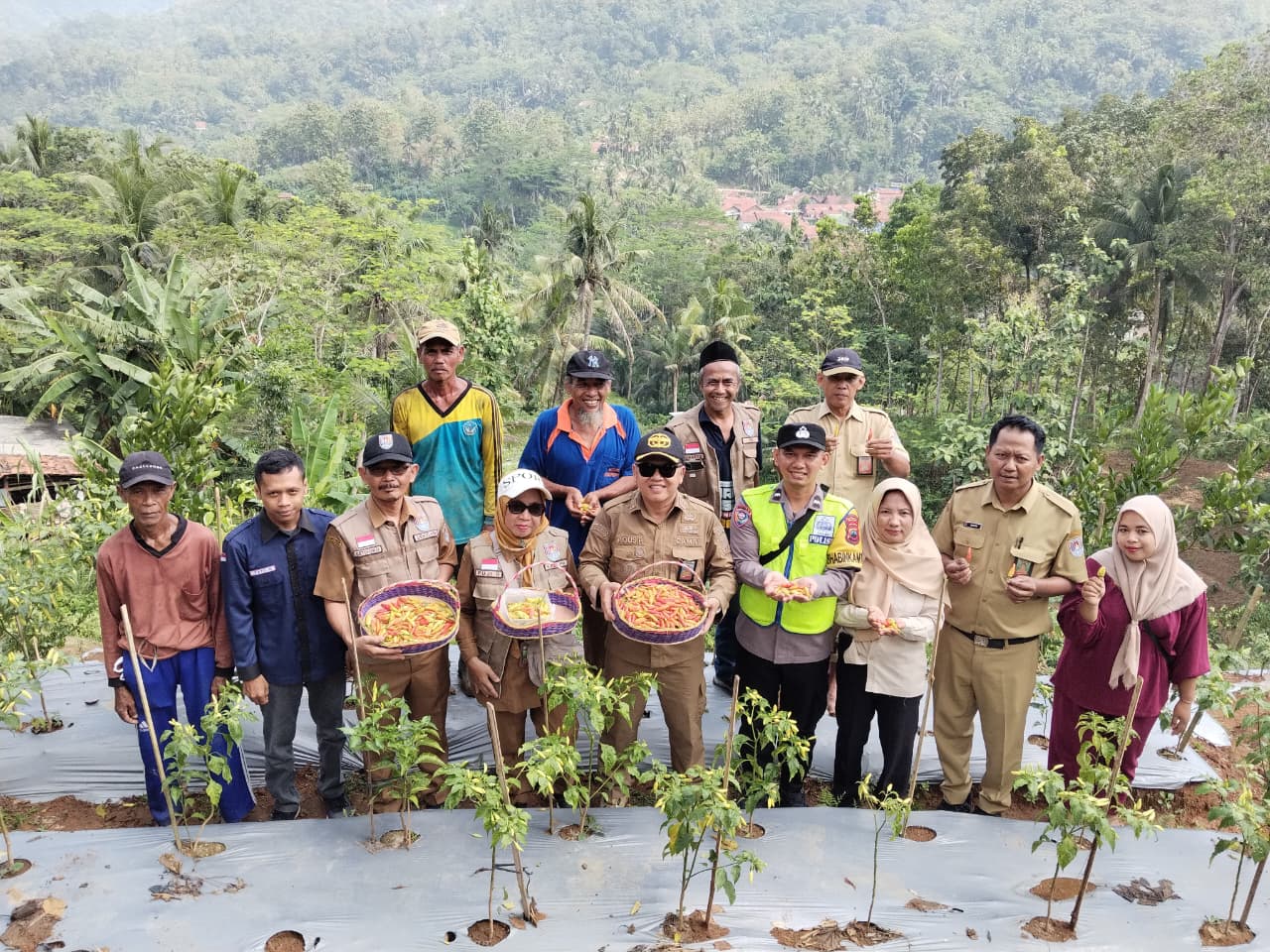 PENINJAUAN CAMAT CIMANGGU KE LOKASI BUMDES SRI RAHAYU DESA CIBALUNG KEC CIMANGGU KAB CILACAP