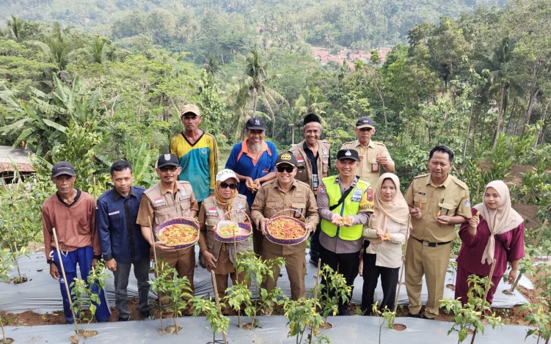 PENINJAUAN CAMAT CIMANGGU KE LOKASI BUMDES SRI RAHAYU DESA CIBALUNG KEC CIMANGGU KAB CILACAP